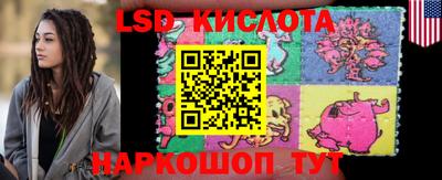 стаф Кандалакша