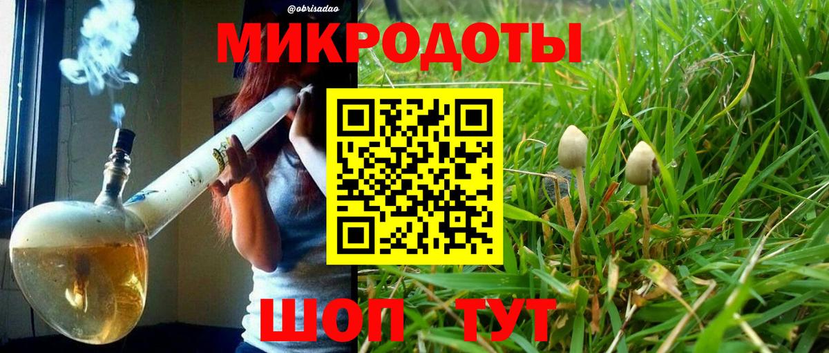 Галлюциногенные грибы Cubensis Кирово-Чепецк