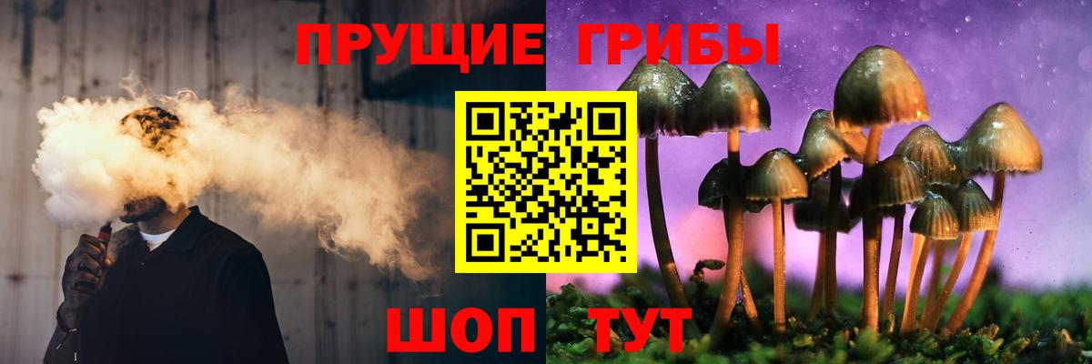 Псилоцибиновые грибы мицелий  Вход с VPN  Галлюциногенные грибы Psilocybe  Кирово-Чепецк 
